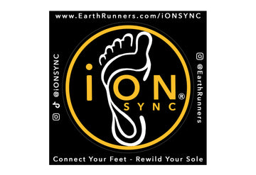 iON SYNC Stickers (x2)